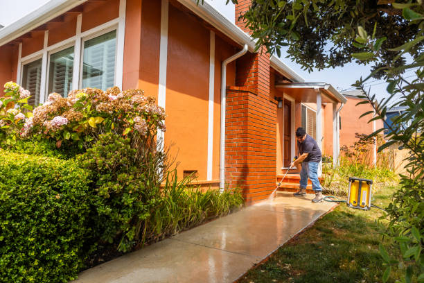 Best Pressure Washing Near Me  in Paincourtville, LA