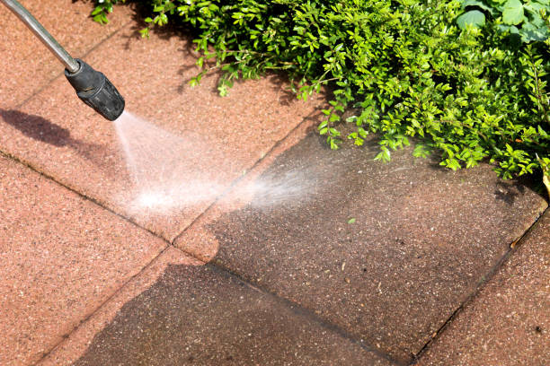 Local Pressure Washing Services in Paincourtville, LA